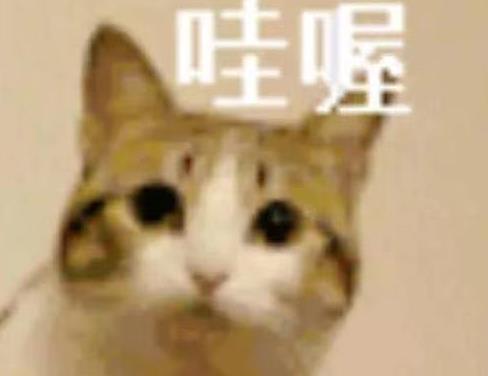 灰指甲抑菌膏 灰指甲抑菌膏