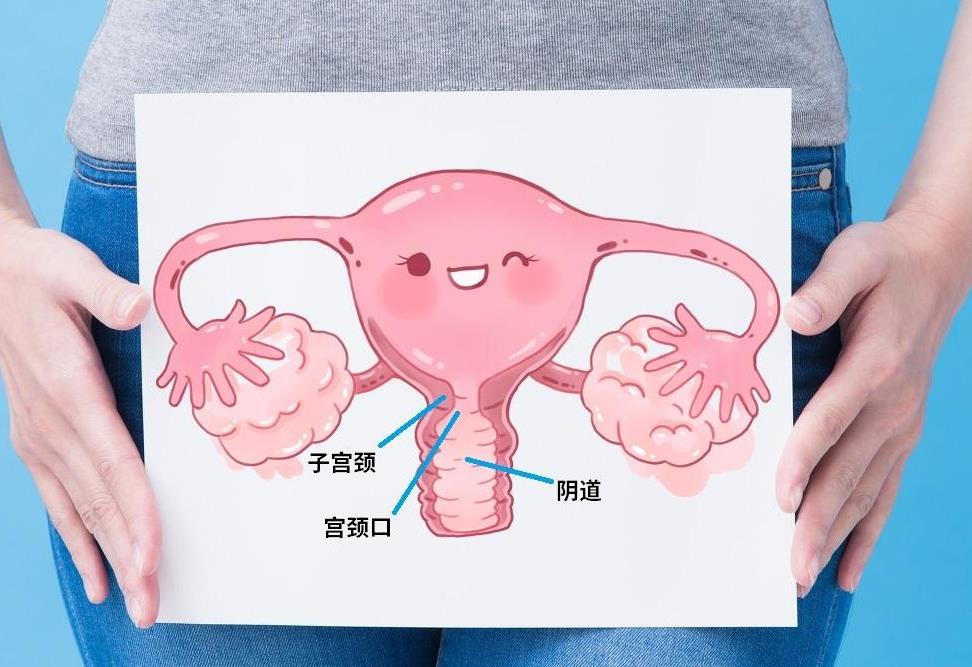 婦科凝膠定制廠家