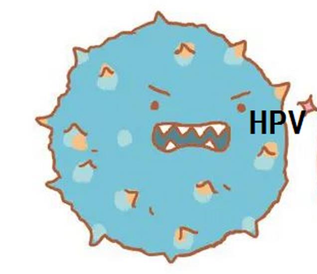 hpv凝膠貼牌廠家